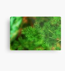 ECOLOGY Metal Print