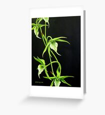 Night Orchids Greeting Card