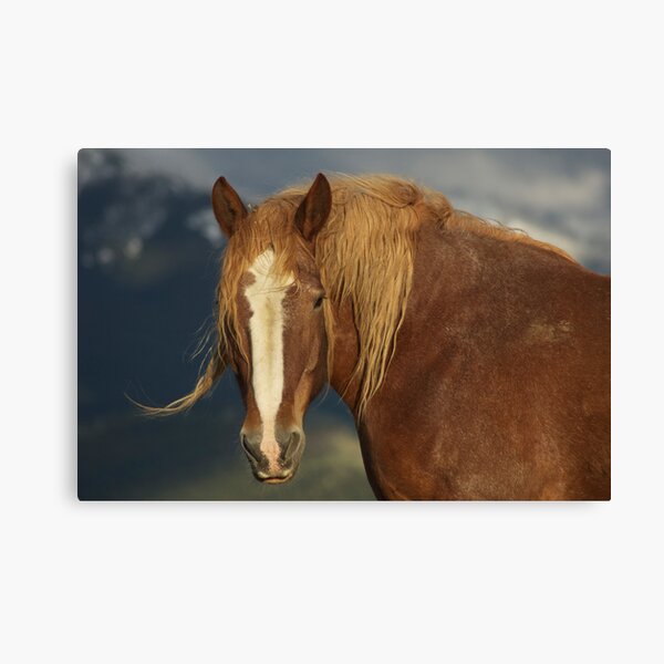 Tatanka Spirit Canvas Print