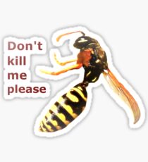 Begging Wasp Sticker