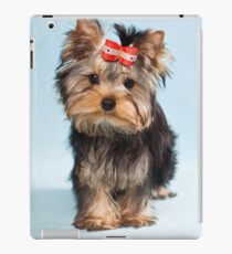 Yorkshire terrier puppy iPad Case/Skin