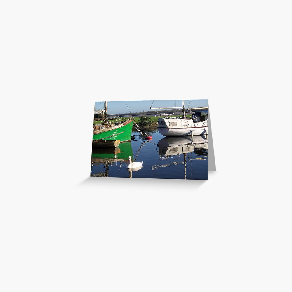 SWAN ON CANAL Greeting Card