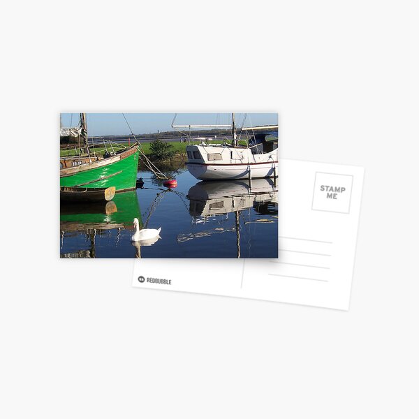 SWAN ON CANAL Postcard