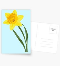Daffodil Postcards