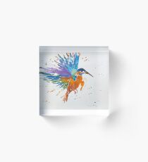 Kingfisher in Flight Acrylic Block