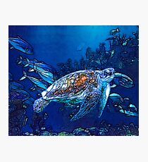 LIVING THE SLOW LIFE LIKE A TURTLE Photographic Print