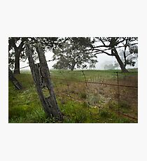 web Photographic Print