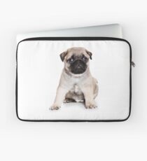 Charming pug puppy Laptop Sleeve