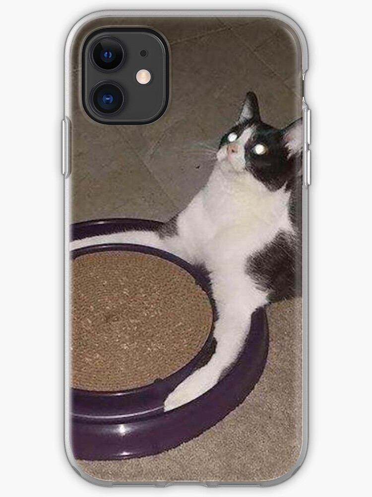 Dedicated Cat iphone 11 case Dedicated Cat iphone 11 case