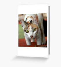 Hey You ! Greeting Card