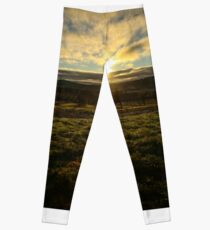 Winery Leggings