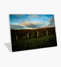 Winery Laptop Skin
