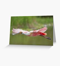 Pink Cruiser Greeting Card