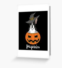 Boston Terrier Pupkin Halloween Greeting Card