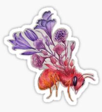 Abeille sur béton, aquarelle Sticker