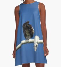 Osprey - Cottesloe - predator with attitude A-Line Dress