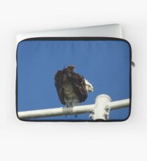 Osprey - Cottesloe - predator with attitude Laptop Sleeve