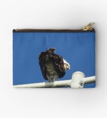 Osprey - Cottesloe - predator with attitude Studio Pouch