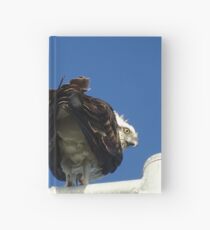Osprey - Cottesloe - predator with attitude Hardcover Journal