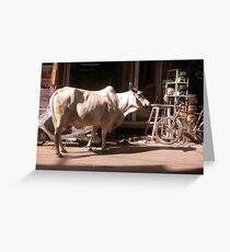 Jodhpur, Rajastan, India Greeting Card