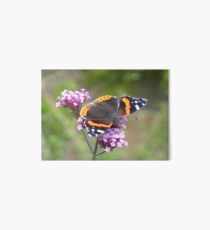 open winged butterfly Art Board