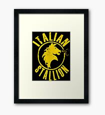 italienischer Hengst Gerahmtes Wandbild