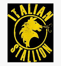 Italian Stallion Photographic Print