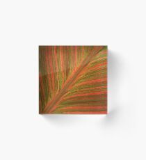 Natural Abstracts - Leaf Pattern Acrylic Block