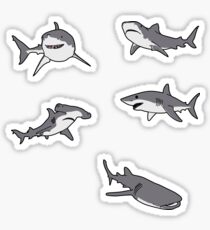 Haifischpackung Sticker