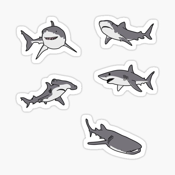 Kawaii Shark Gifts Merchandise Redbubble