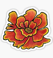 Marigold with white background Sticker