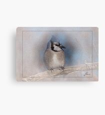 Blue J Twinkle Canvas Print