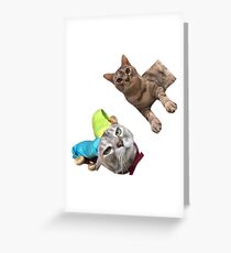 Kuschelt die Katze 2 Grußkarte