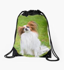 Portrait of a papillon purebreed dog sitting on the grass Drawstring Bag