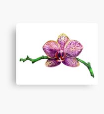 Watercolor image of purple orchid Metal Print