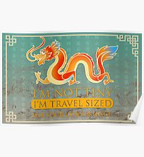 I'm not tiny Dragon Poster