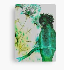black green parrot cockatoo Metal Print