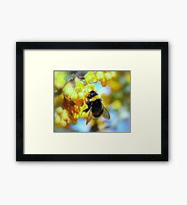BUMBLE Framed Print