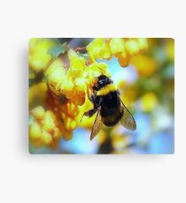 BUMBLE Canvas Print