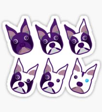 Boston Terrier Various Colorings Purple Angled Heads Sticker