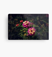 Lantana In Bloom Metal Print