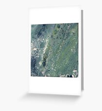Under the sea Greeting Card
