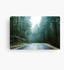 Forest Road Trip - Foggy Day Fir Trees Pacific Northwest Adventure Canvas Print