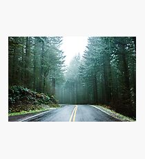 Forest Road Trip - Foggy Day Fir Trees Pacific Northwest Adventure Photographic Print