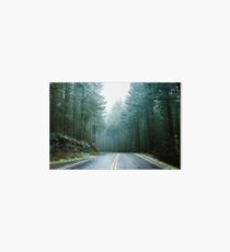 Forest Road Trip - Foggy Day Fir Trees Pacific Northwest Adventure Art Board