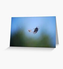 Mr. Spider's Wedding Greeting Card