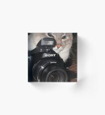 Camera Cat Acrylic Block