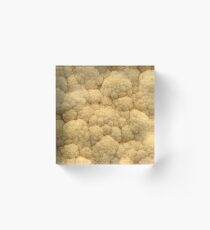 Colly (pattern) Acrylic Block