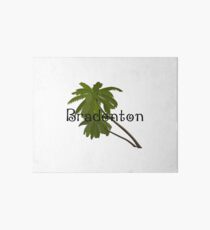 Bradenton Florida Art Board