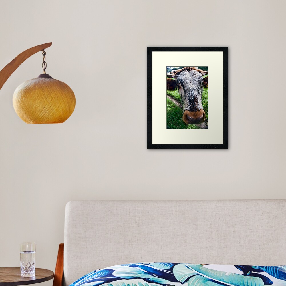 Nosey Cow Framed Art Print